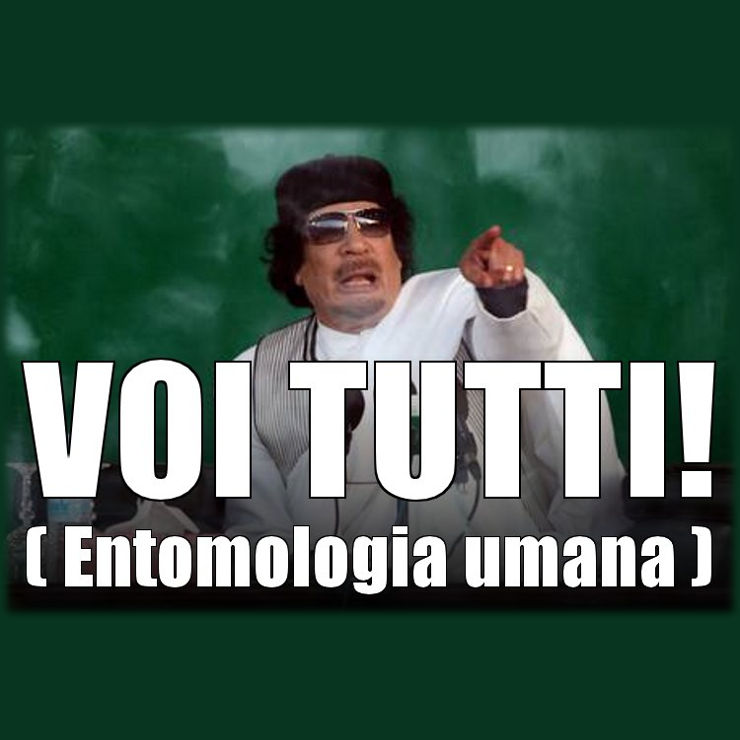 VOI TUTTI! (ENTOMOLOGIA UMANA)