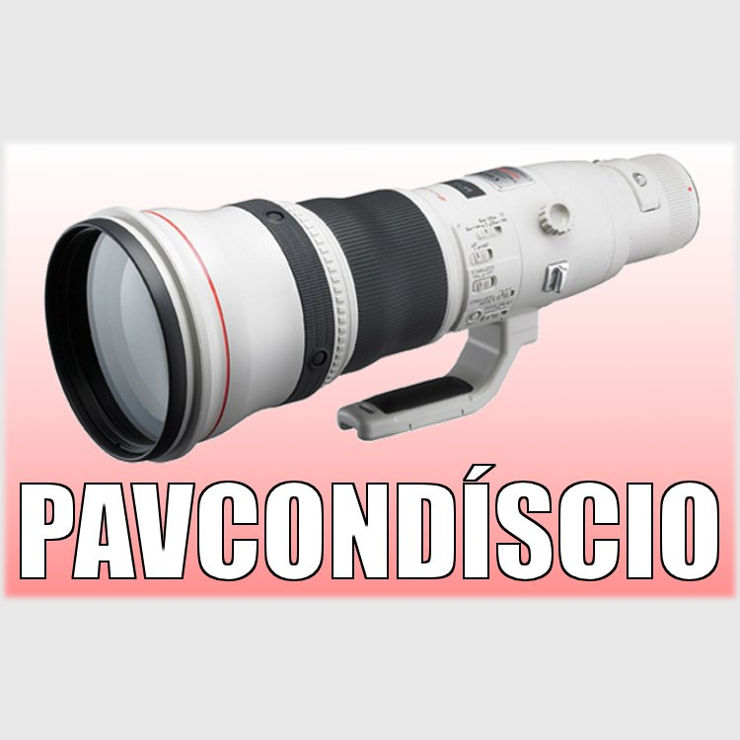 PAVCONDISCIO