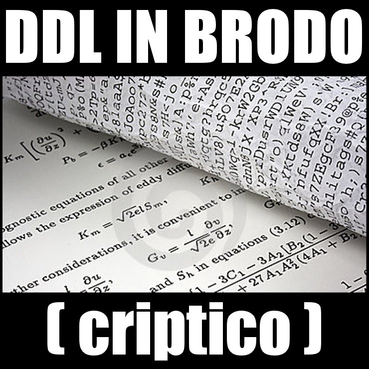 DDL IN BRODO (CRIPTICO)