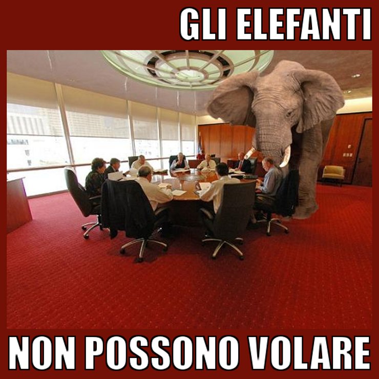 GLI ELEFANTI NON POSSONO VOLARE