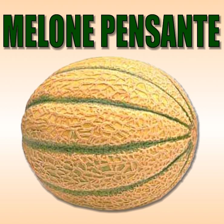 MELONE PENSANTE